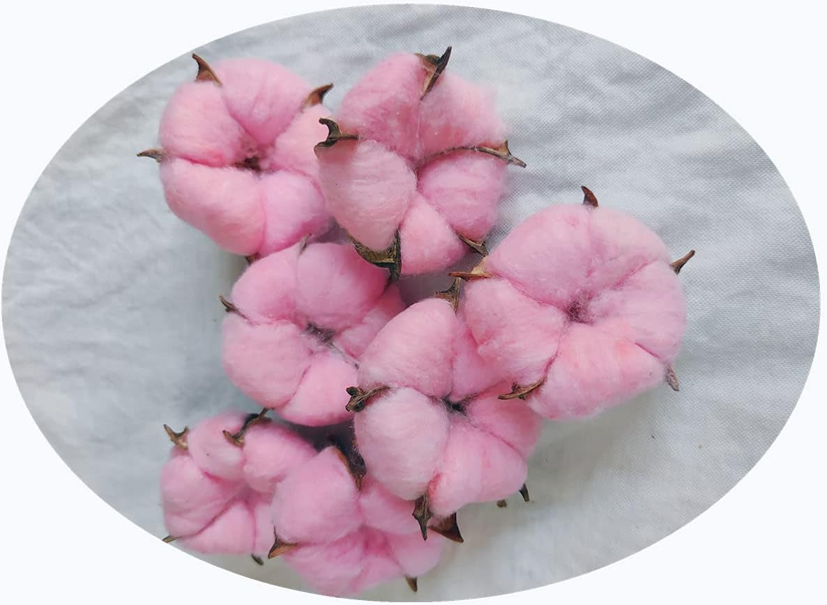 7 Natural Cotton Dried Flower Ornaments, Christmas Decorative Vases Showcasing Wreaths of Family Wedding Flowers, Nordic Rustic Decor (Pink)