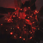 24 Pack Fairy Lights Battery Operated 6.6Ft 20 Led Mini String Lights Silver Wire Starry Lights for DIY Wedding Party Festival Halloween Christmas (Red)