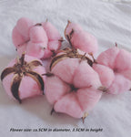 7 Natural Cotton Dried Flower Ornaments, Christmas Decorative Vases Showcasing Wreaths of Family Wedding Flowers, Nordic Rustic Decor (Pink)