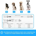 Christmas Holly Adjustable Dog Collar with Bowtie - Dog Collars for Small Dogs, Holiday Dog Collars, Christmas Collar for Dogs - Small Dog Collars for Female Dogs, 12-16" Neck